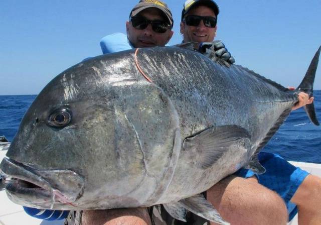 daily picdump 96 pics 3.html - 96 HD Photos | Premium Gallery 2017