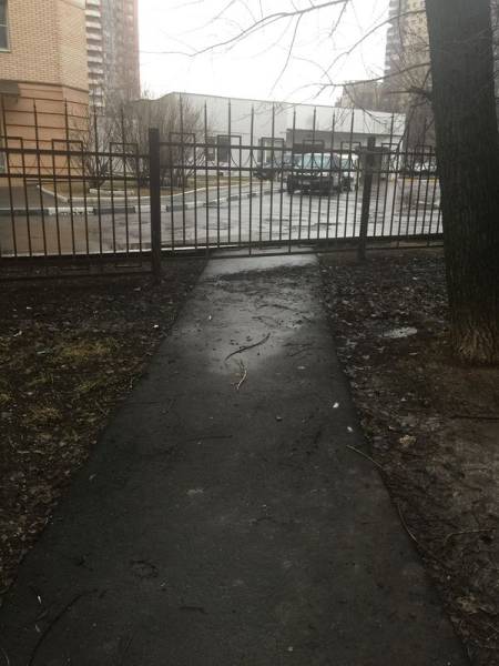 daily picdump 96 pics 3.html - 96 HD Photos | Premium Gallery 2017