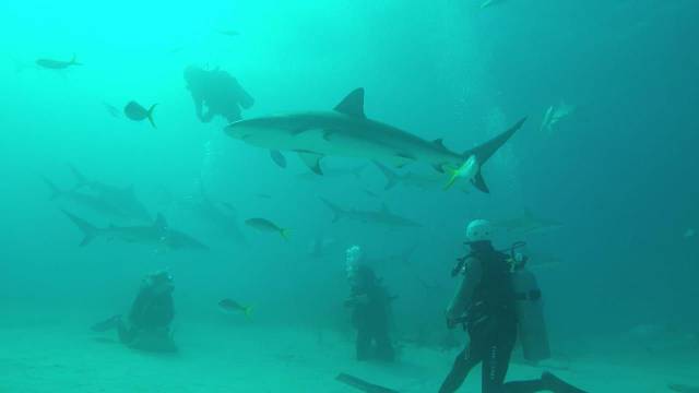 daily picdump 96 pics 3.html - 96 HD Photos | Premium Gallery 2017