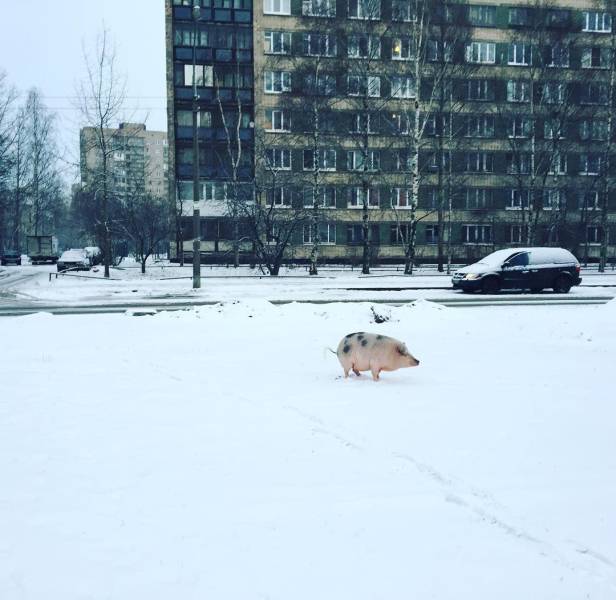 daily picdump 96 pics 3.html - 96 HD Photos | Premium Gallery 2017