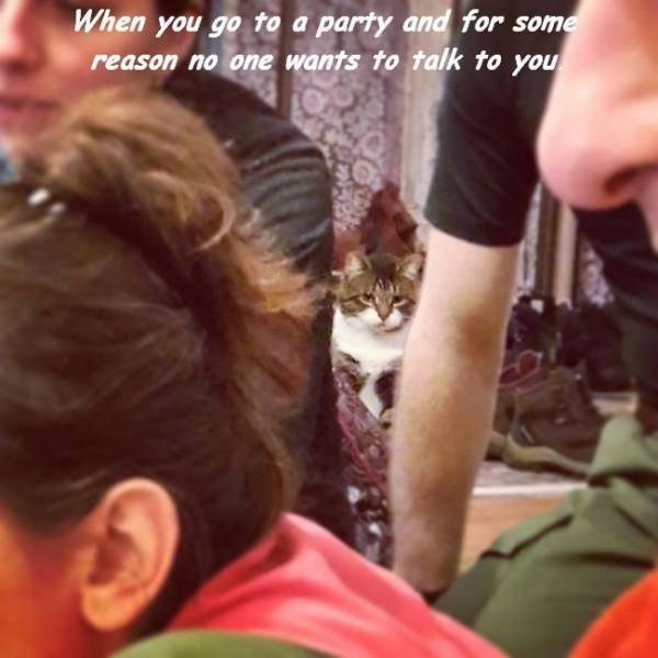 daily picdump 96 pics 3.html - 96 HD Photos | Premium Gallery 2017