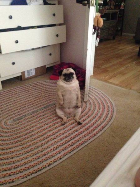 daily picdump 96 pics 3.html - 96 HD Photos | Premium Gallery 2017