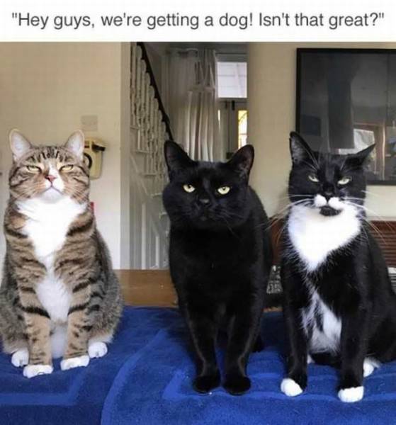 daily picdump 100 pics 7.html - 100 HD Photos | Premium Gallery 2017