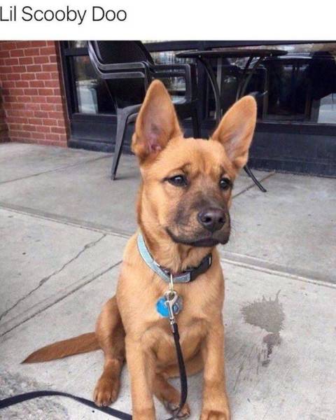 daily picdump 100 pics 7.html - 100 HD Photos | Premium Gallery 2017