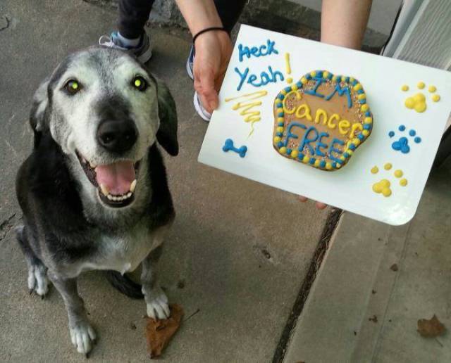 daily picdump 100 pics 7.html - 100 HD Photos | Premium Gallery 2017