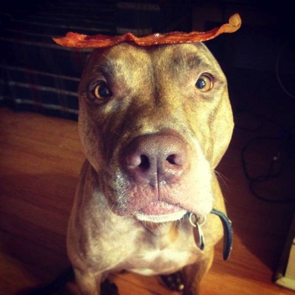 daily picdump 100 pics 7.html - 100 HD Photos | Premium Gallery 2017