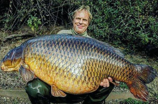 daily picdump 100 pics 7.html - 100 HD Photos | Premium Gallery 2017