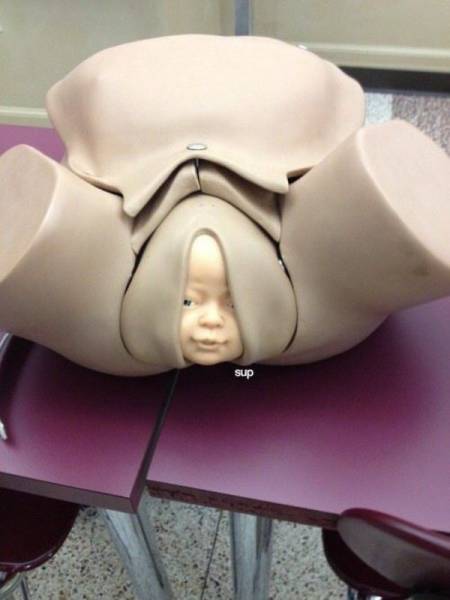 daily picdump 100 pics 7.html - 100 HD Photos | Premium Gallery 2017