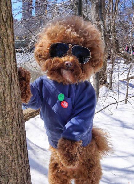 daily picdump 100 pics 7.html - 100 HD Photos | Premium Gallery 2017