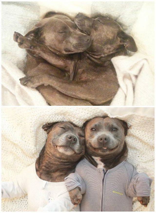 daily picdump 100 pics 7.html - 100 HD Photos | Premium Gallery 2017