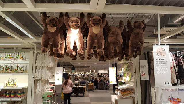 morning picdump 50 pics 6.html - 50 HD Photos | Premium Gallery 2017