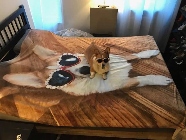 morning picdump 50 pics 6.html - 50 HD Photos | Premium Gallery 2017