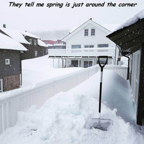 daily picdump 98 pics 7.html - 98 HD Photos | Premium Gallery 2017