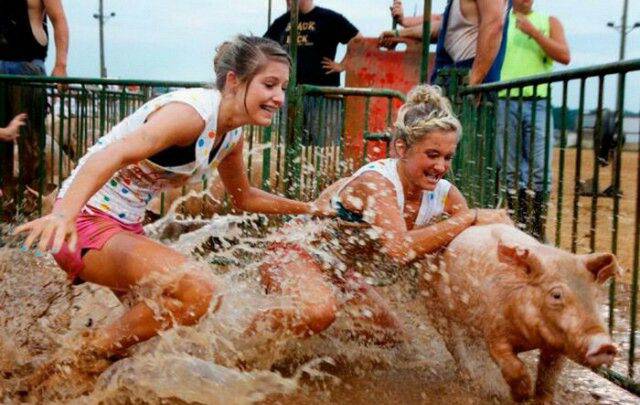 daily picdump 98 pics 7.html - 98 HD Photos | Premium Gallery 2017