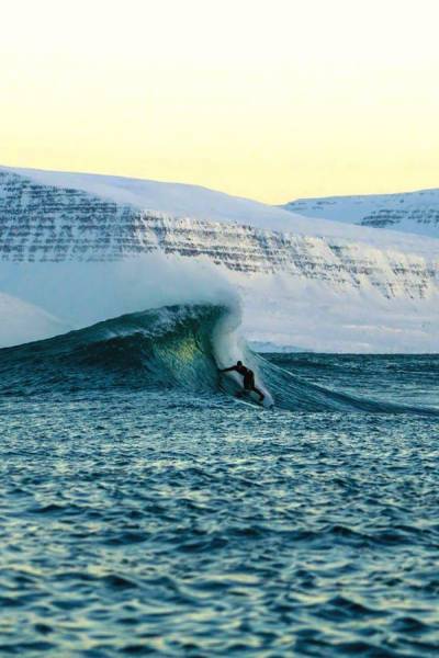 daily picdump 98 pics 7.html - 98 HD Photos | Premium Gallery 2017