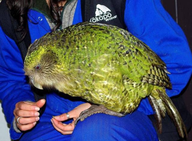 daily picdump 98 pics 7.html - 98 HD Photos | Premium Gallery 2017