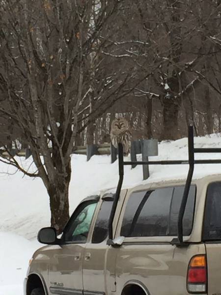 daily picdump 98 pics 7.html - 98 HD Photos | Premium Gallery 2017