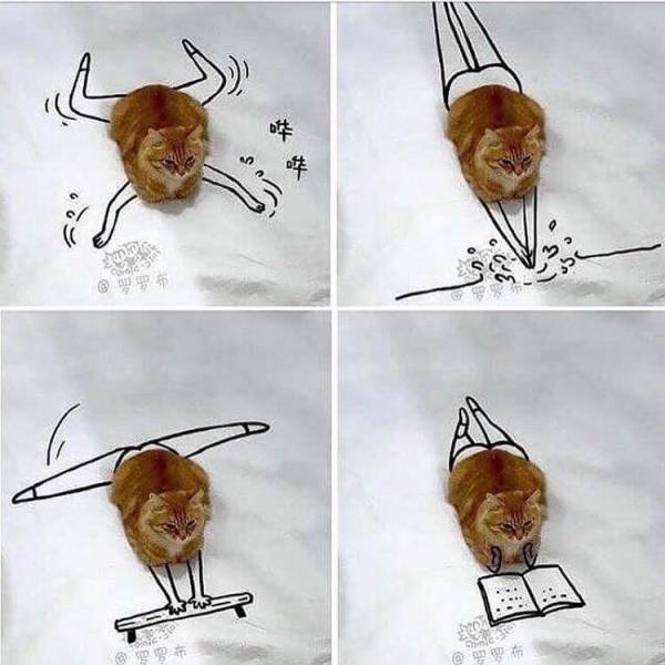 morning picdump 52 pics 20.html - 52 HD Photos | Premium Gallery 2017