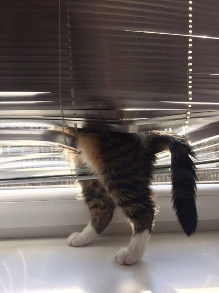 daily picdump 103 pics 52.html - 103 HD Photos | Premium Gallery 2017