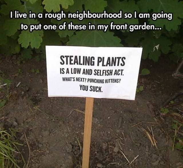 daily picdump 103 pics 52.html - 103 HD Photos | Premium Gallery 2017