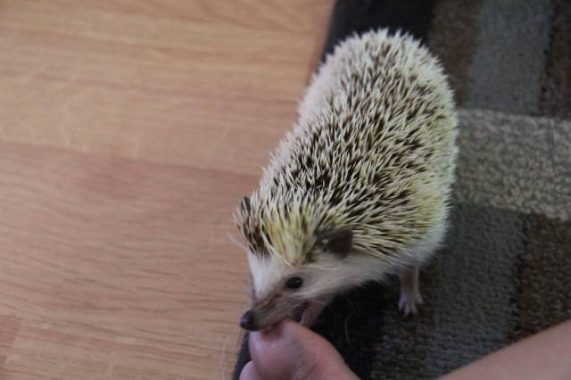 daily picdump 103 pics 52.html - 103 HD Photos | Premium Gallery 2017