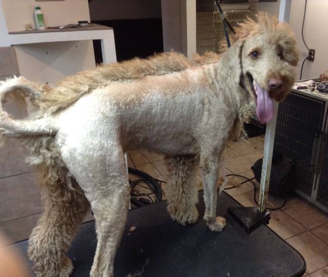 daily picdump 103 pics 52.html - 103 HD Photos | Premium Gallery 2017