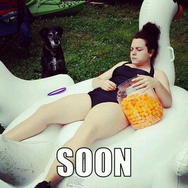 daily picdump 103 pics 52.html - 103 HD Photos | Premium Gallery 2017