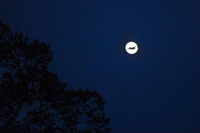 morning picdump 50 pics 8.html - 50 HD Photos | Premium Gallery 2017