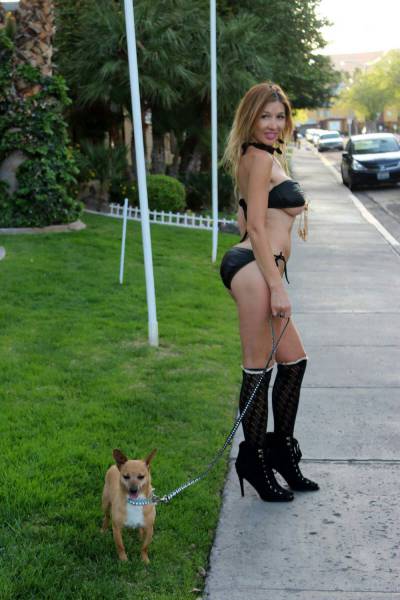 grownup corner 63 pics 8 gifs 15.html - 63 HD GIF | Premium Gallery 2017