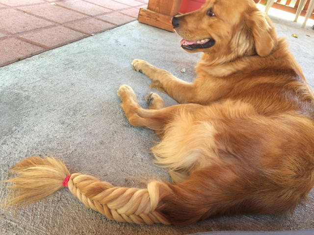 morning picdump 52 pics 3.html - 52 HD Photos | Premium Gallery 2017