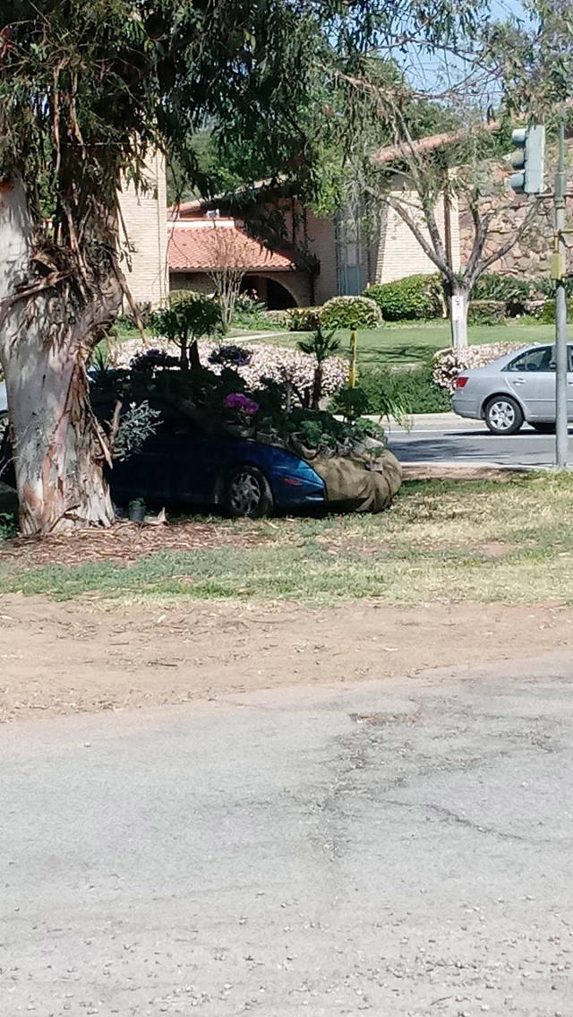 morning picdump 52 pics 3.html - 52 HD Photos | Premium Gallery 2017