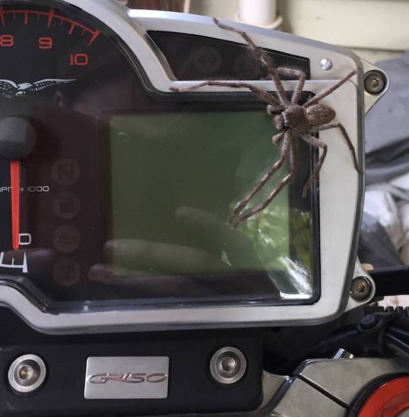 Daily Picdump [WEEKEND EDITION]