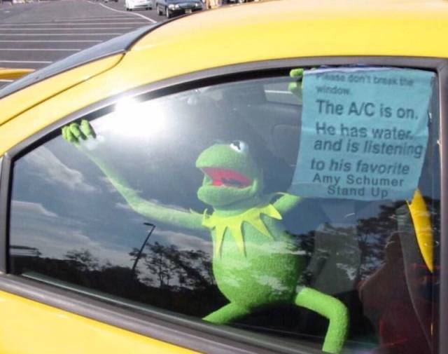 daily picdump weekend edition 66 pics 2.html - 66 HD Photos | Premium Gallery 2017