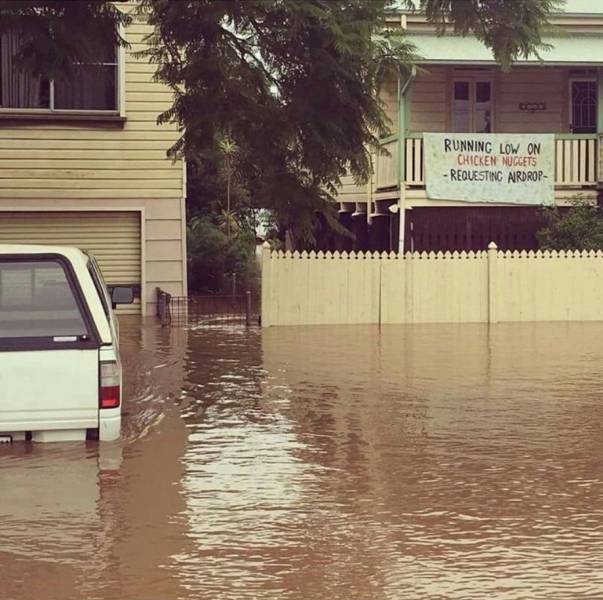 daily picdump weekend edition 66 pics 2.html - 66 HD Photos | Premium Gallery 2017