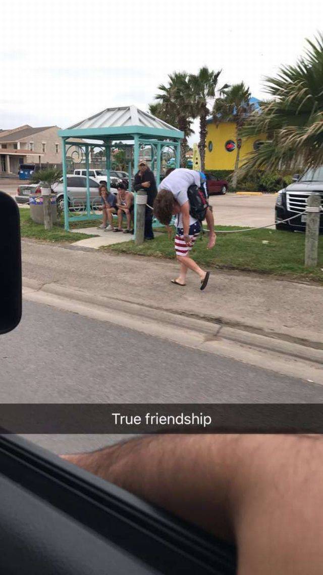 daily picdump weekend edition 66 pics 2.html - 66 HD Photos | Premium Gallery 2017