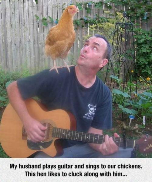 daily picdump 100 pics 15.html - 100 HD Photos | Premium Gallery 2017