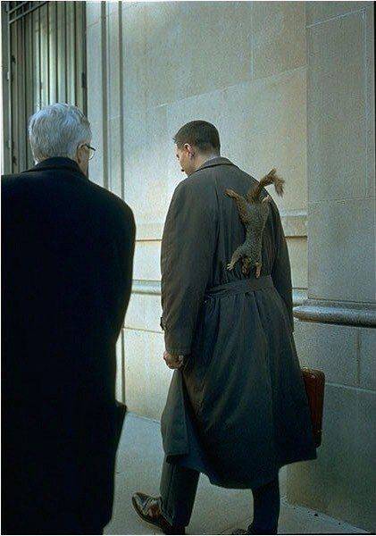 daily picdump 100 pics 15.html - 100 HD Photos | Premium Gallery 2017