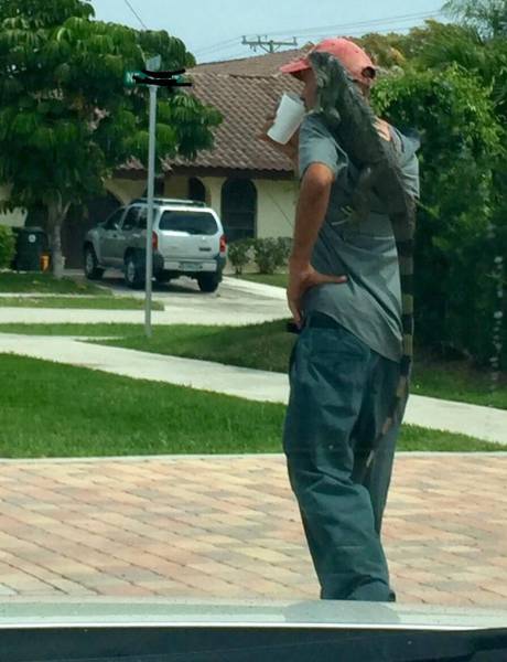 daily picdump 100 pics 15.html - 100 HD Photos | Premium Gallery 2017