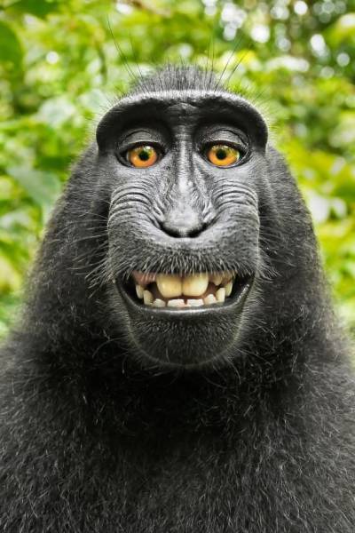 daily picdump 100 pics 15.html - 100 HD Photos | Premium Gallery 2017