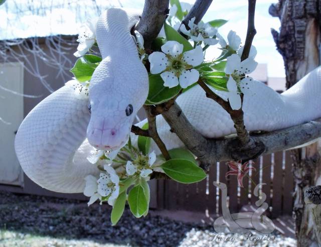 daily picdump 100 pics 15.html - 100 HD Photos | Premium Gallery 2017