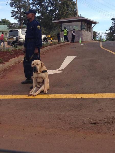 daily picdump 100 pics 15.html - 100 HD Photos | Premium Gallery 2017