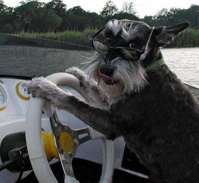 daily picdump 100 pics 15.html - 100 HD Photos | Premium Gallery 2017