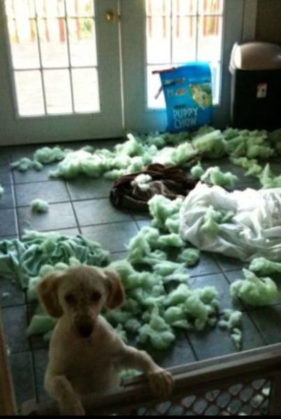 daily picdump 100 pics 15.html - 100 HD Photos | Premium Gallery 2017