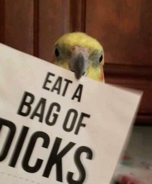 daily picdump 100 pics 15.html - 100 HD Photos | Premium Gallery 2017