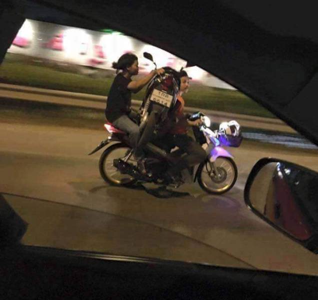 Daily Picdump