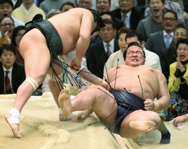 Daily Picdump
