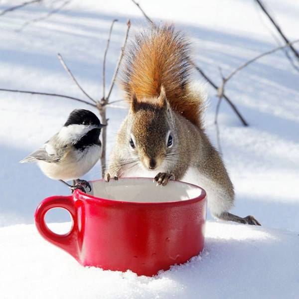 Daily Picdump