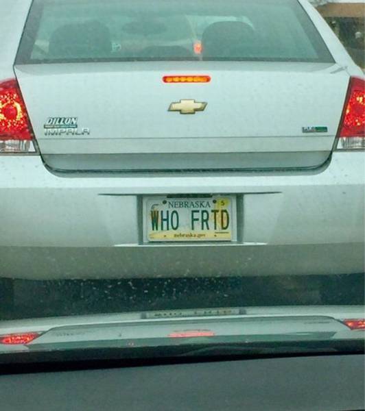 Daily Picdump