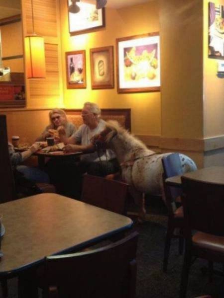 daily picdump 97 pics 25.html - 97 HD Photos | Premium Gallery 2017