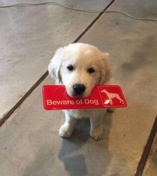 daily picdump 97 pics 25.html - 97 HD Photos | Premium Gallery 2017